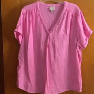 Pink Textured V-Neck Blouse